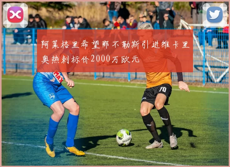 阿莱格里希望那不勒斯引进维卡里奥热刺标价2000万欧元